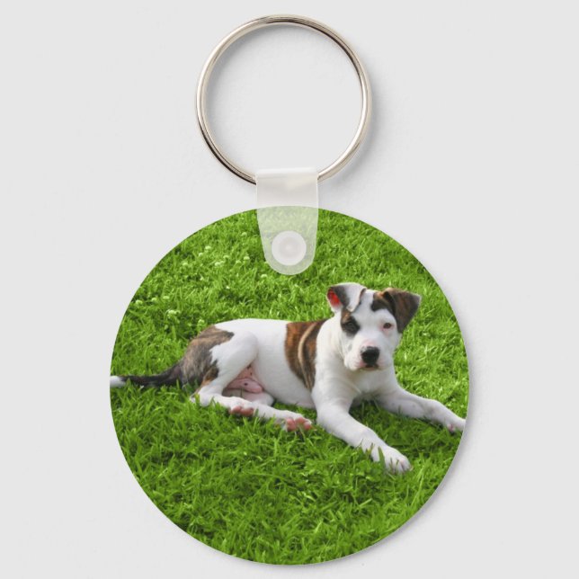 Porte-clés Puppy Pit Bull T-Bone (Recto)