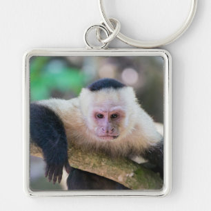 Porte-clés Pura vida pour singe capucin à visage blanc