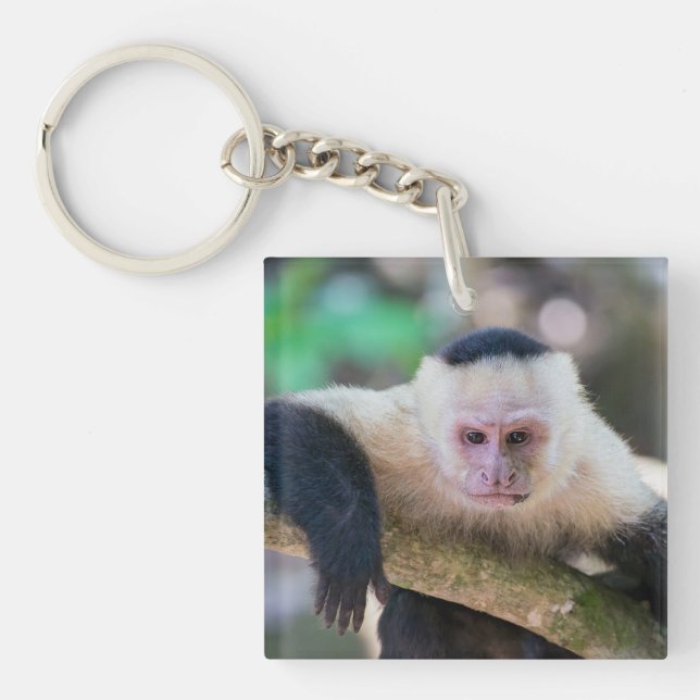 Porte-clés Pura vida pour singe capucin à visage blanc (Devant)