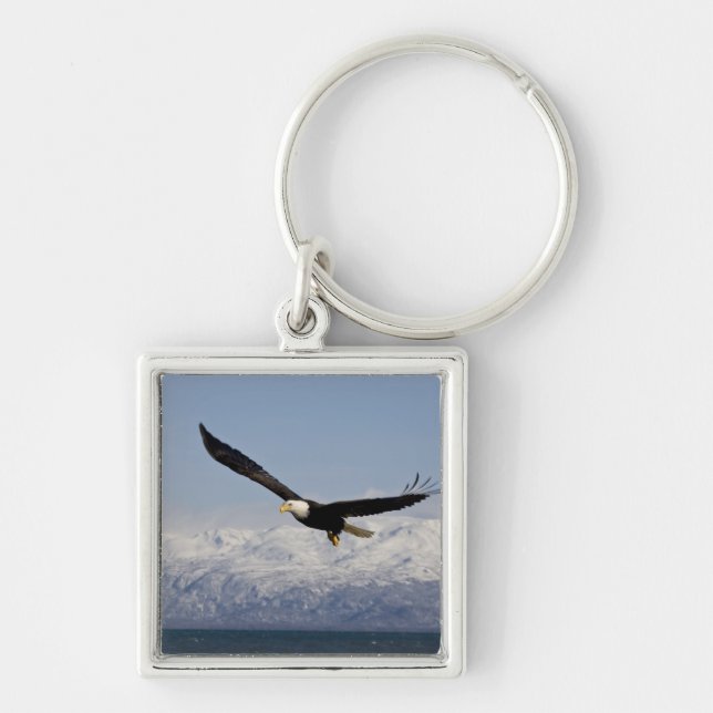 Porte-clés Pygargue à tête blanche en vol, Haliaeetus leucoce (Devant)
