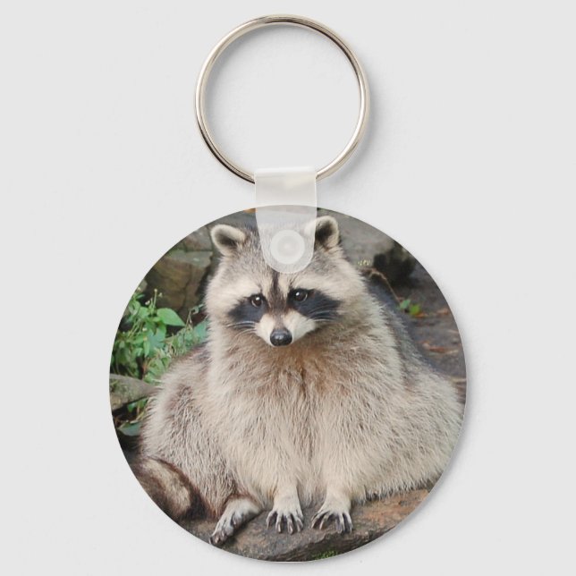 Porte-clés Raccoon (Recto)
