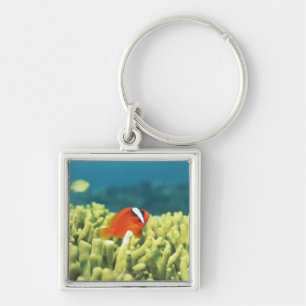 Porte-clés Récif coralien coulant avec les poissons tropicau