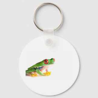 Porte-clés red eyed tree frog