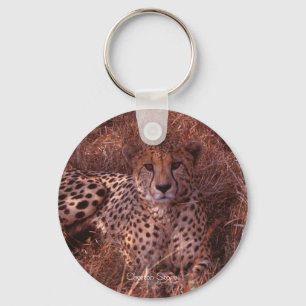 Porte-clés Regard fixe de guépard