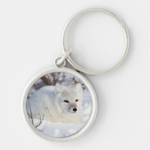 Porte-clés Renard arctique en hiver
