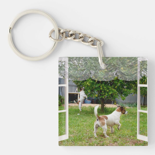 Porte-clés Renard Terriers À La Découverte Du Jardin, (Devant)