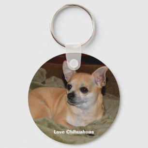 Porte-clés Repos mignon de chiwawa