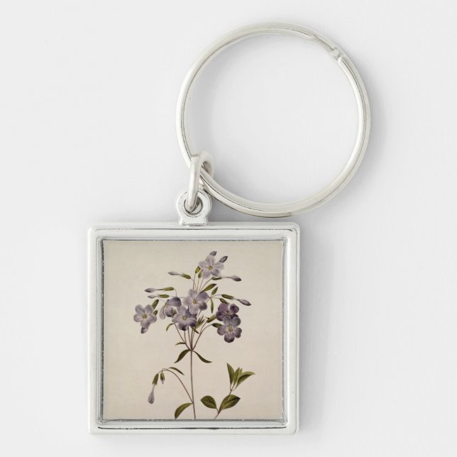 Porte-clés Reptans de Phlox (Devant)
