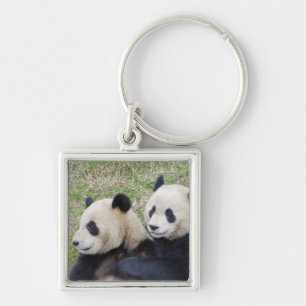 Porte-clés Réserve de Wolong, Chine, Panda géant faisant un c