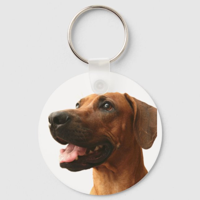 Porte-clés Rhodesian Ridgeback (Recto)