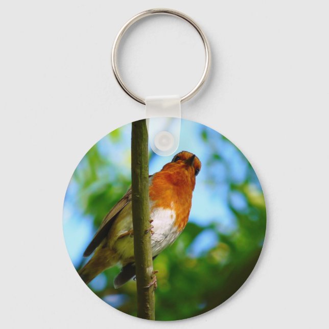 PORTE-CLÉS ROBINS (Recto)