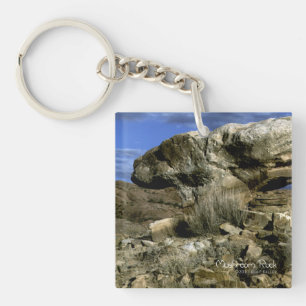 Porte-clés Roche de champignons