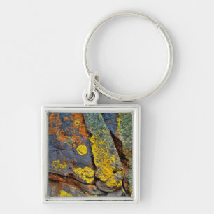Porte-clés Rochers couverts de lichen