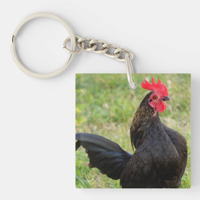 Porte-clés Rooster Portrait (Devant)