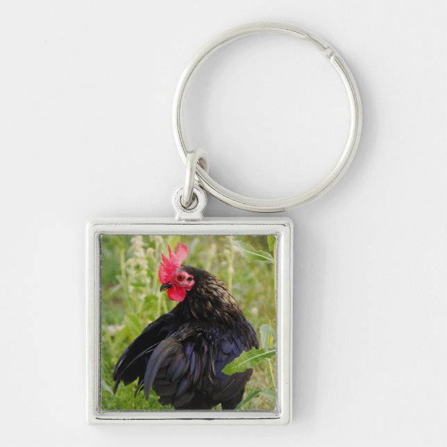 Porte-clés Rooster Portrait (Devant)