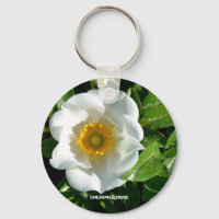 ROSE CHEROKEE