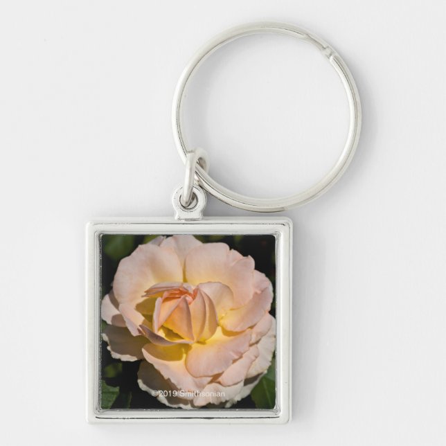 Porte-clés Rose de thé (Devant)