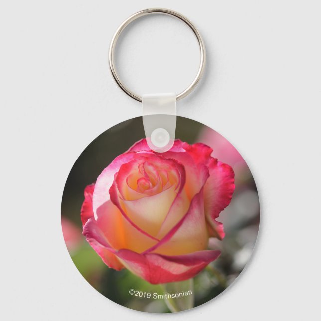 Porte-clés Rose Double Delight (Recto)