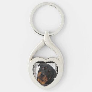 Porte-clés rottweiler-encadré