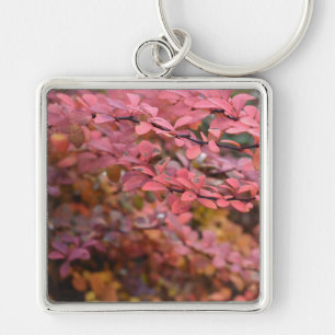 Porte-clés Rouge Orange Chute Feuillage Automne Feuilles Natu