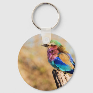 Porte-clés Rouleau à poitrine Lilac Colorful African Bird