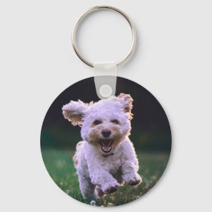 Porte-clés Running White Poodle Cute Dog