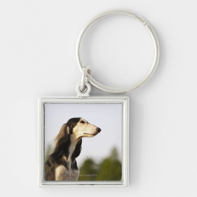 Porte-clés Saluki 2 (Devant)
