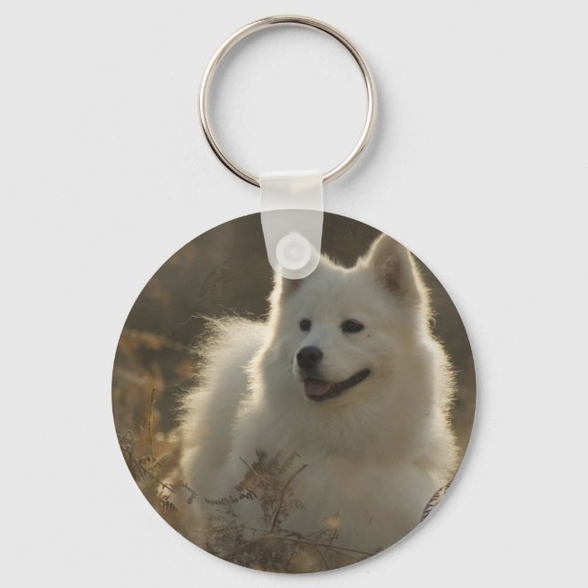 Porte-clés Samoyed Porte - clé de race de chien (Recto)