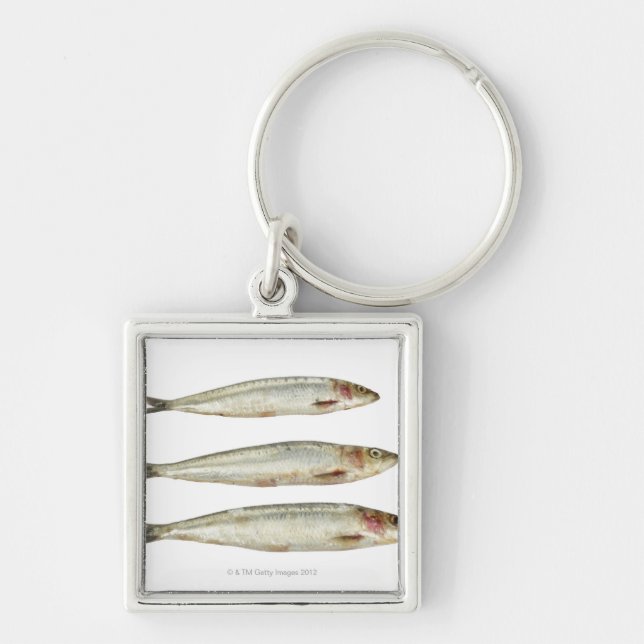 Porte-clés Sardines (pilchards) 2 (Devant)