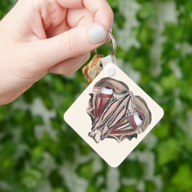 Porte-clés Science de l'anatomie humaine vintage, yeux (main)