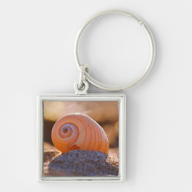 Porte-clés Shell Bokeh |Greece (Devant)