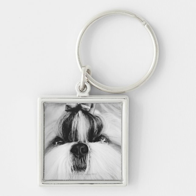 Porte-clés Shih Tzu (Devant)