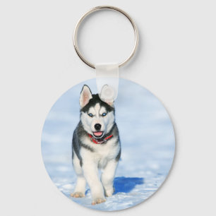Porte-clés Sibérien Husky