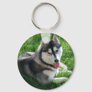 Porte-clés Sibérien Husky Porte - clé