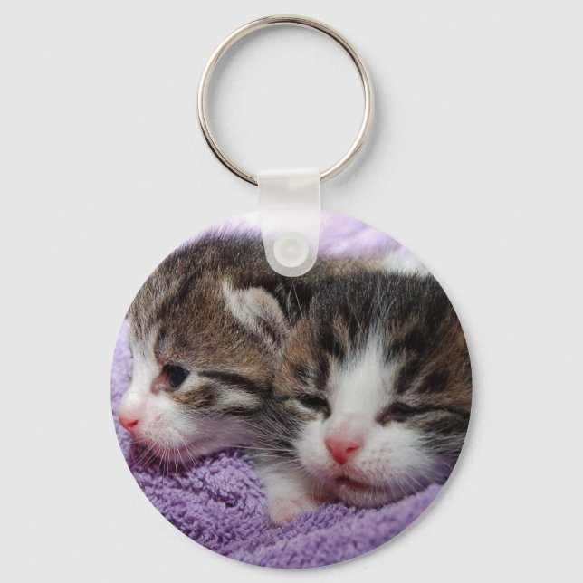 Porte-clés Sleepy kittens (Recto)