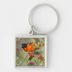 Porte-clés South Padre Island, Texas, États-Unis, Oriole de B