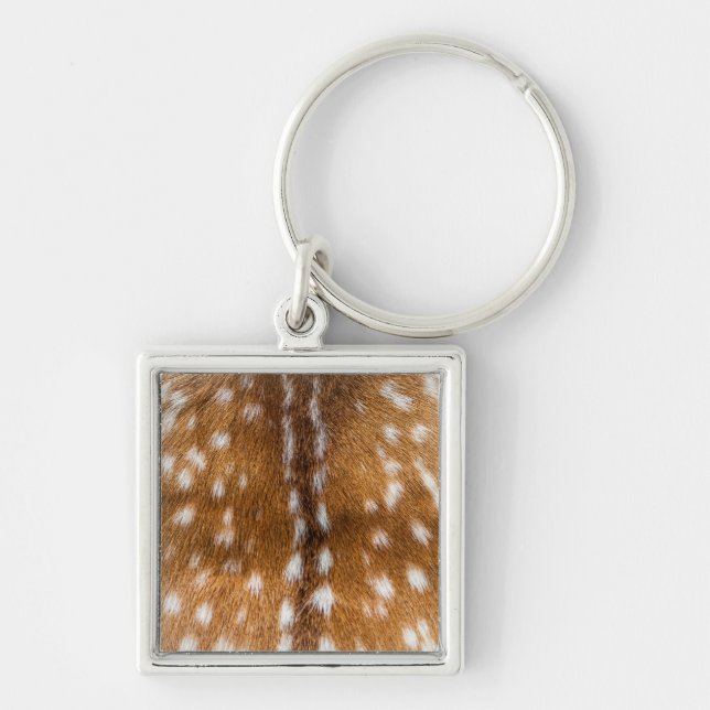 Porte-clés Spotted deer pour texture (Devant)