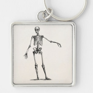 Porte-clés Squelettes squelettiques d'anatomie de 1800s