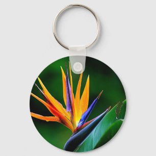Porte-clés Strelitzia. Oiseau de fleur de paradis.