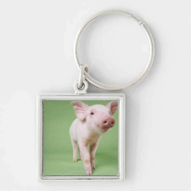 Porte-clés Studio coupé d'une position de porcelet (Devant)