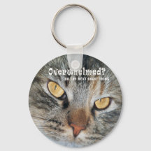 submergé par Nellie