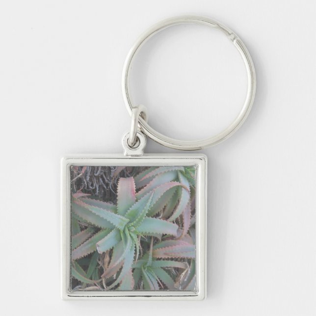 Porte-clés Succulentes du Nevada (Devant)