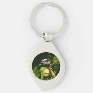 Porte-clés Sucrier à bec courbe mangeant photographie tropica