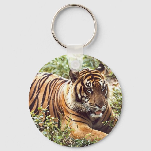 Porte-clés Sumatran Tiger Porte - clé (Recto)
