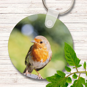 Porte-clés Summer Robin