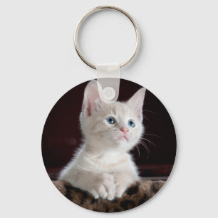 Porte-clés Super mignon Kitten blanc