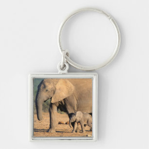 Porte-clés Sur African Elephant mother and calf on the move