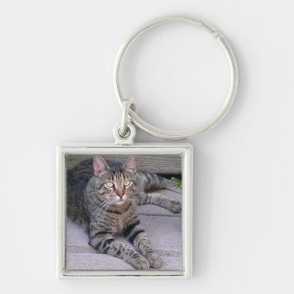 Porte-clés Tabby Chat Brown à l'extérieur
