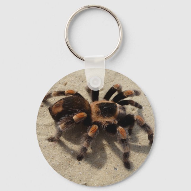Porte-clés Tarantula brachypelma rouge genou toxique (Recto)