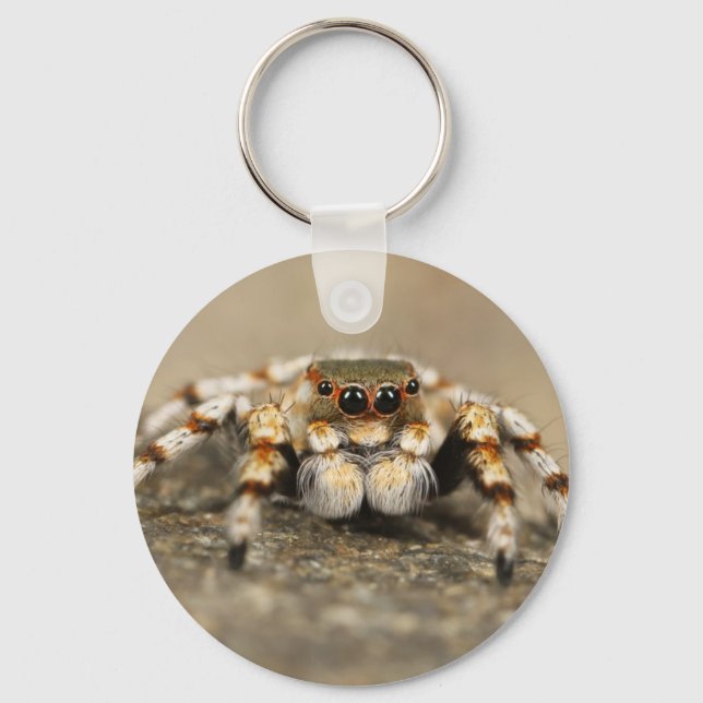 Porte-clés Tarantula Jumping Bird Spider fantastiques accesso (Recto)